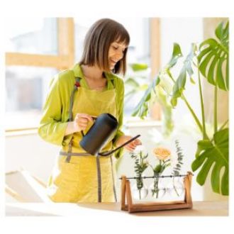 XXXFLOWER Plant Terrarium with Wooden Stand