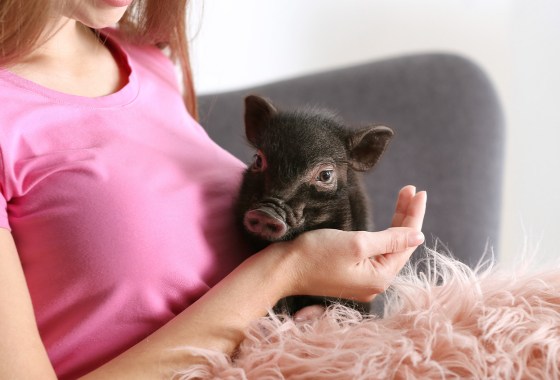 Don’t forget these top picks for your nontraditional pets on National Pet Day