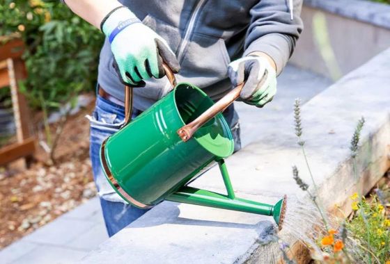 What is chaos gardening?