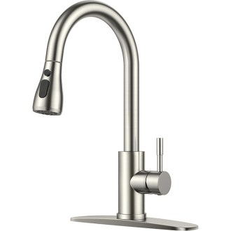 Forious  Kitchen Faucet with Pull Down Sprayer