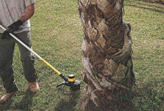 Best DEWALT Weed Eaters