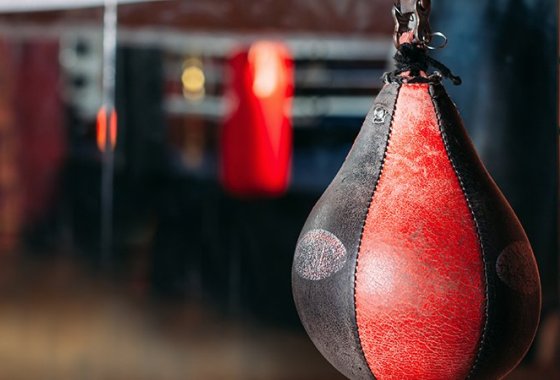 Best Punching Bags