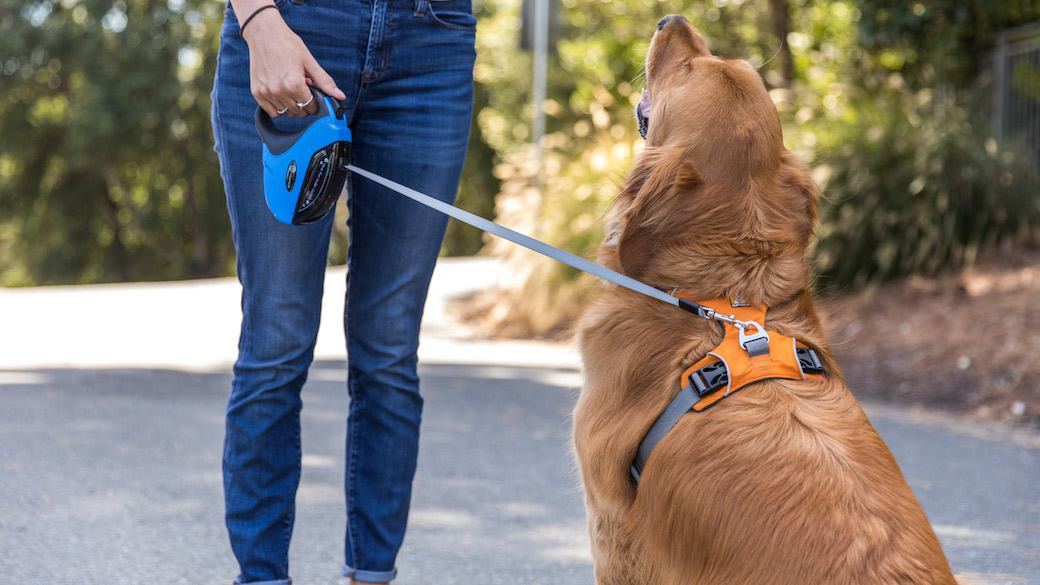 Taotronics retractable dog on sale lead