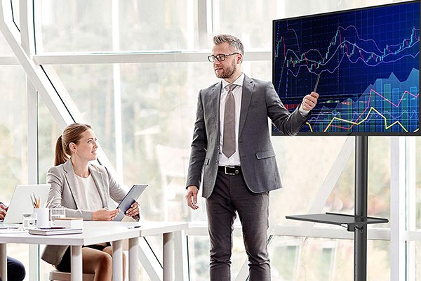 Mobile Flat Screen TV Cart