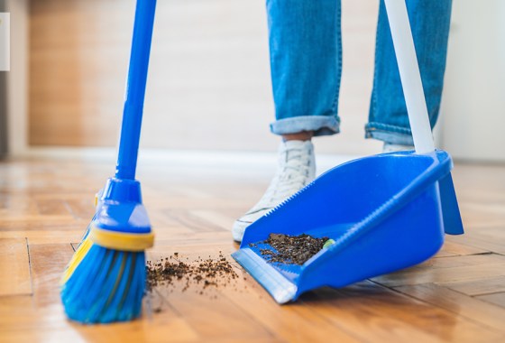 Best broom and dustpan