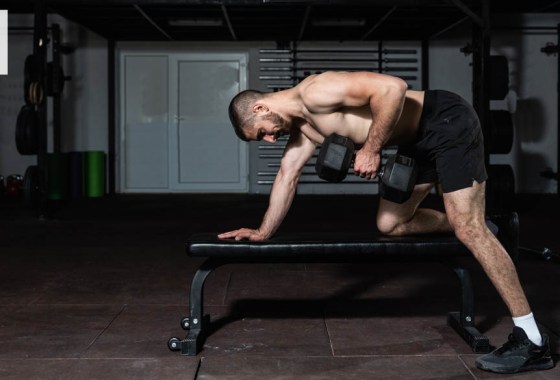Best Weider weight bench