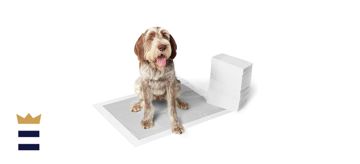 Amazon Basics Odor-Control Puppy Pads