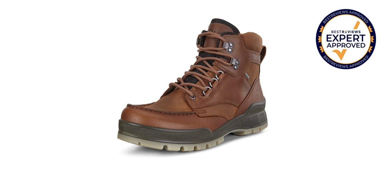 Best Ecco Men's Track 25 High Gore-Tex Hiking Boots