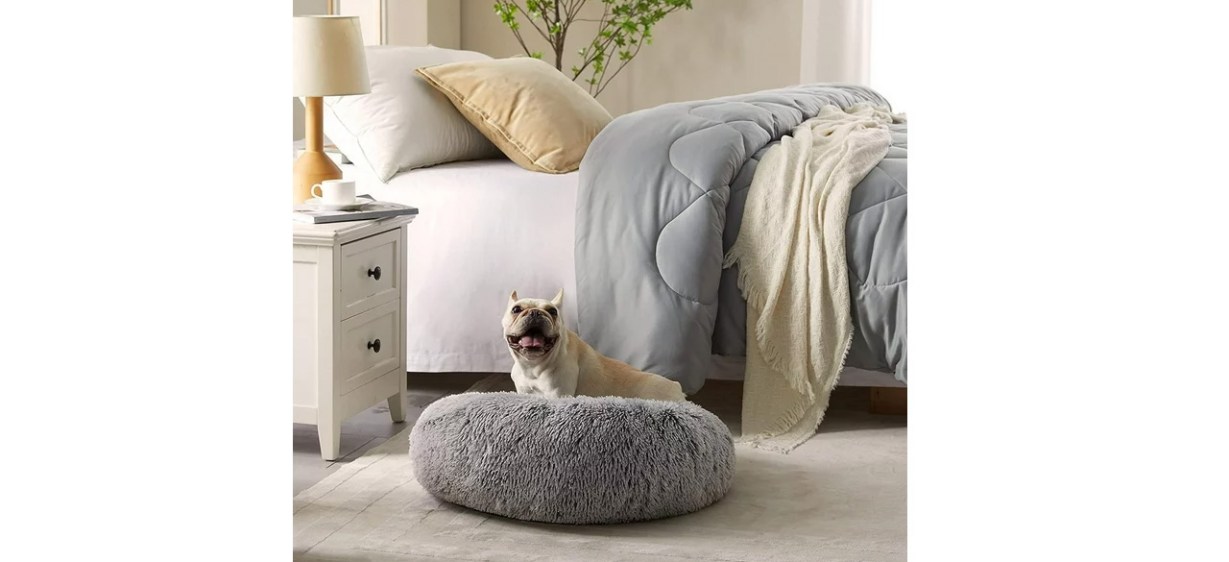 Dog sitting in Nisrada Calming Donut Dog Bed