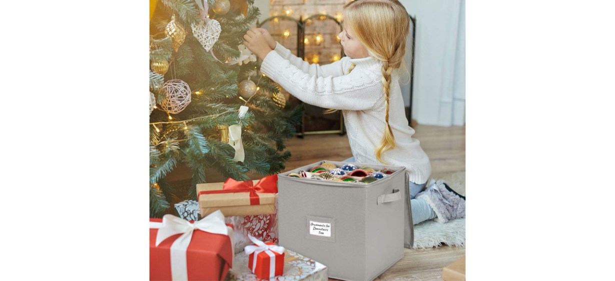 Best HOLDN’ STORAGE Christmas Ornament Storage Box