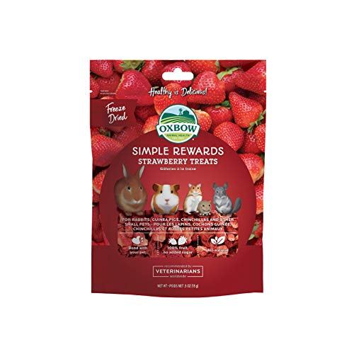 Oxbow Simple Rewards - Strawberry Treats